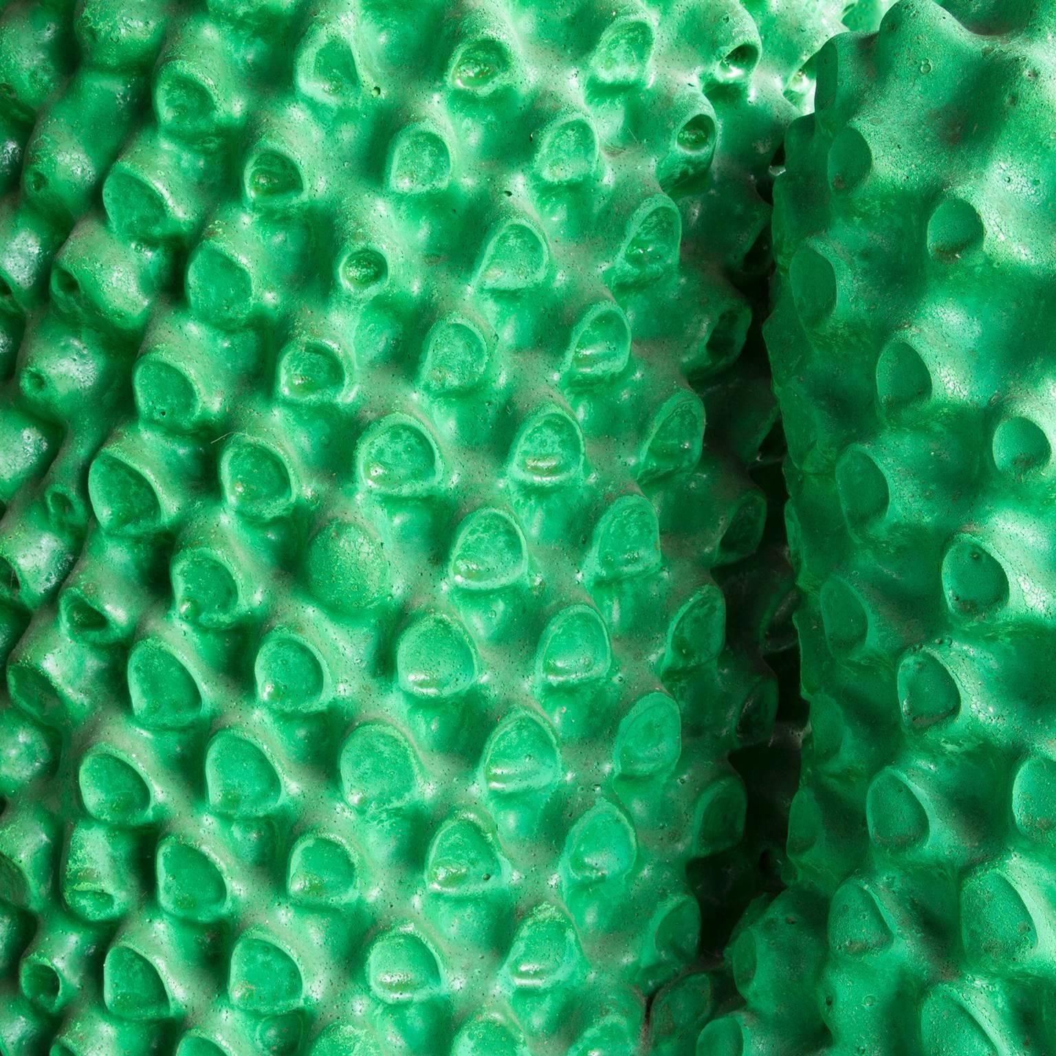 1972, Guido Drocco And Franco Mello, Cactus Coat Stand, In The Best Green Ever photo buy