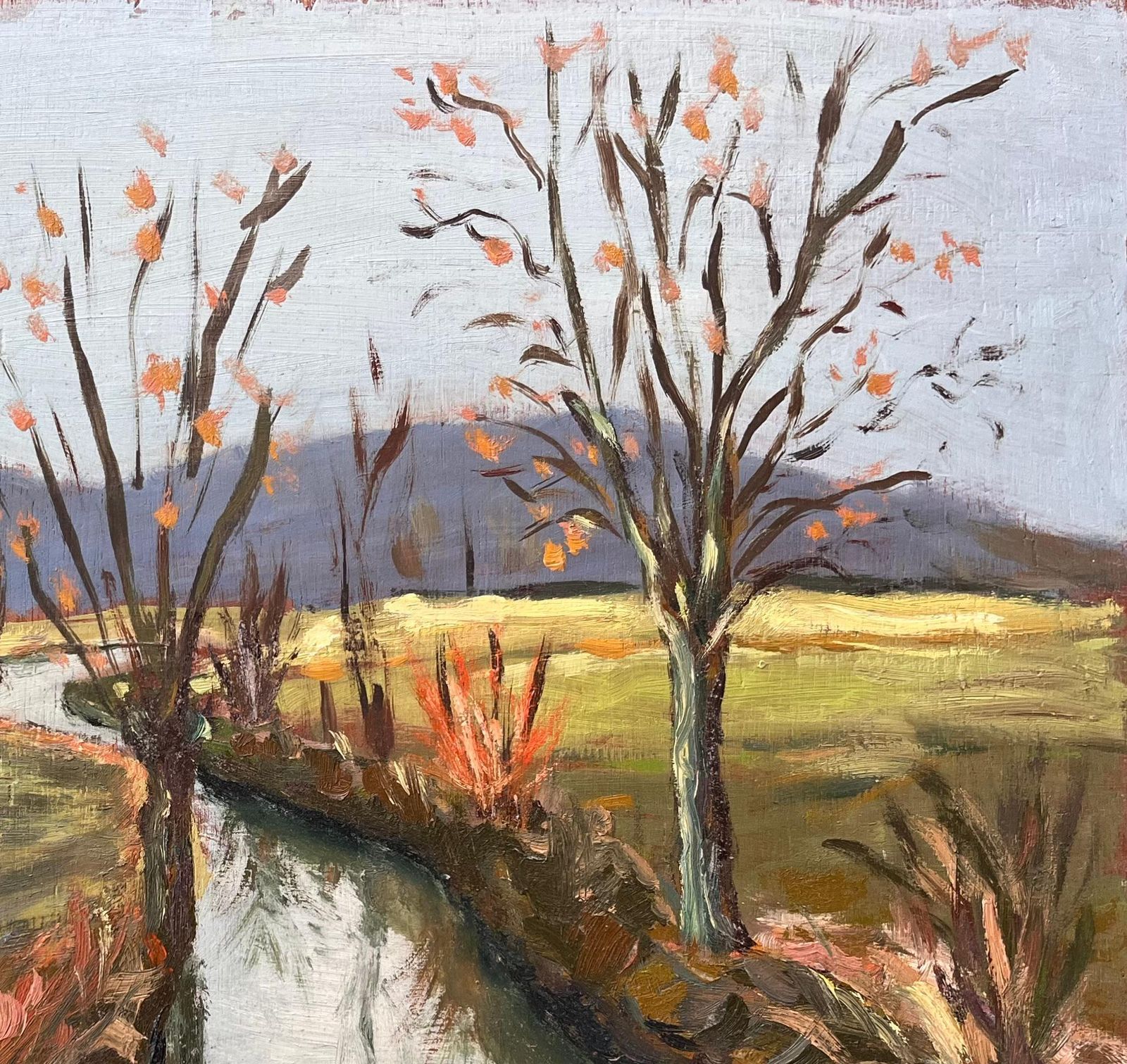 Fanch Lel French Autumn Landscape Of Tree Lined Canal With Reflections And Distant Hills photo 565.0