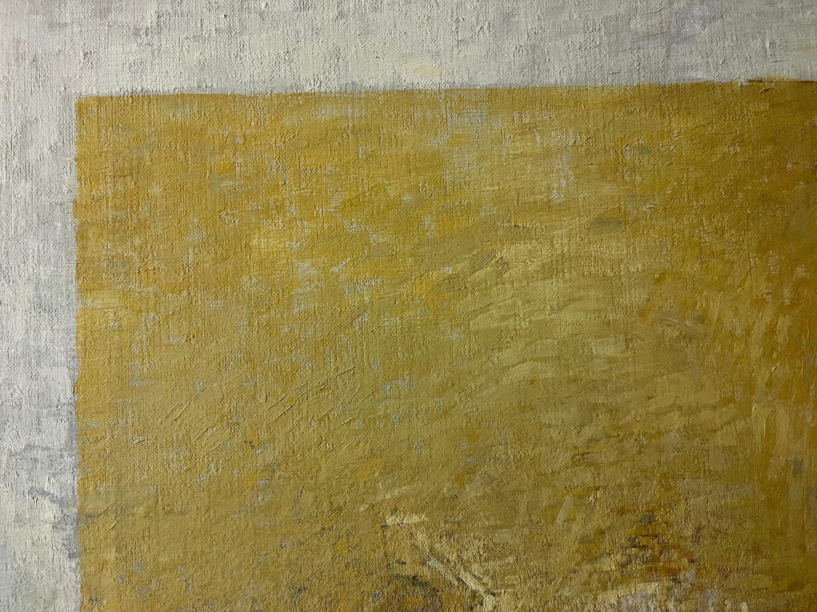 Giacomo Soffiantino"Fossils And Shells" Oil Cm. 100 X 120 Yellow, Brown  19601960 photo vinterior