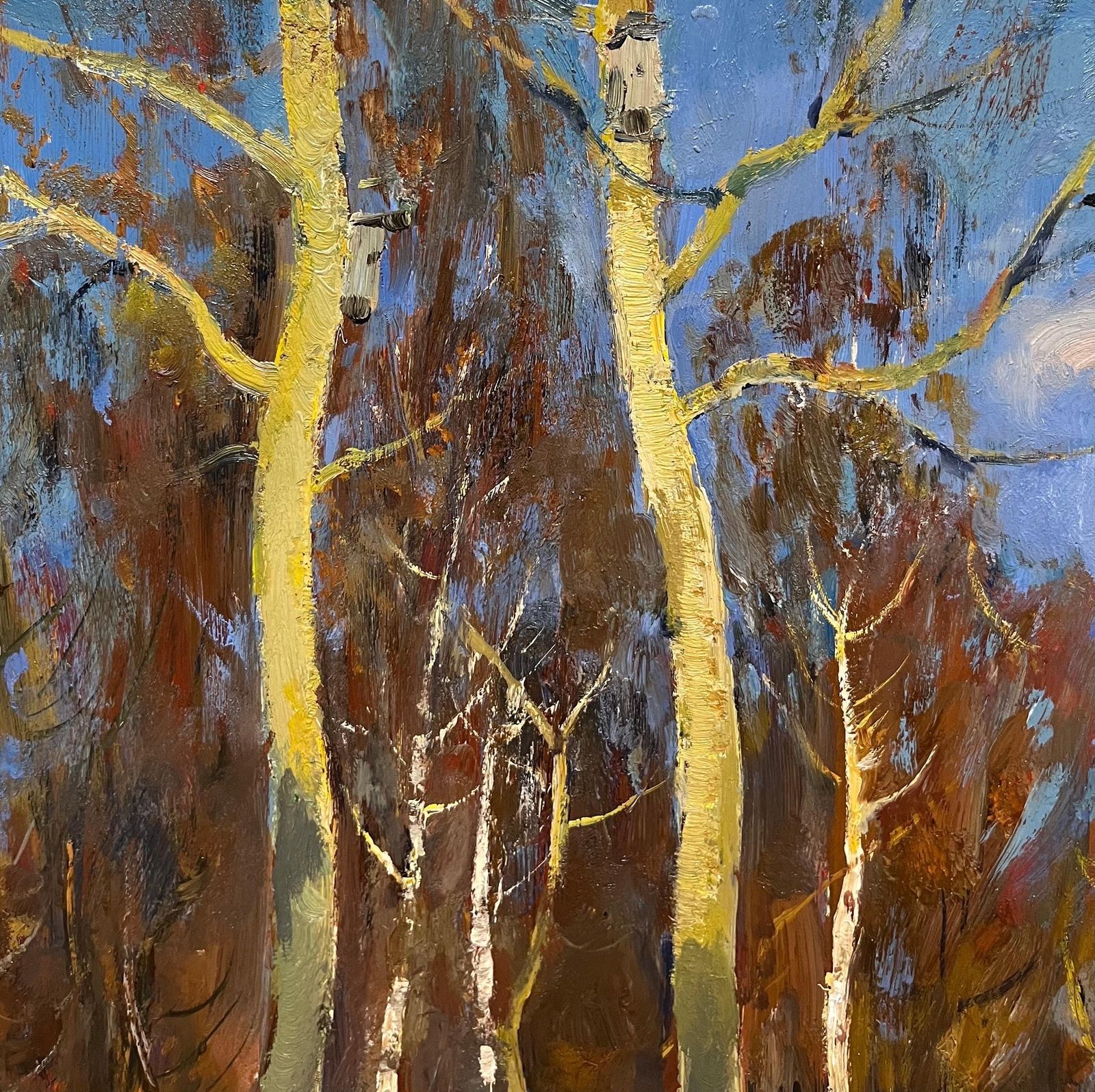 Leonid Vaichilia"Spring Sunshine In The Woods" Oil Cm.62 X 51  19671967 photo Art
