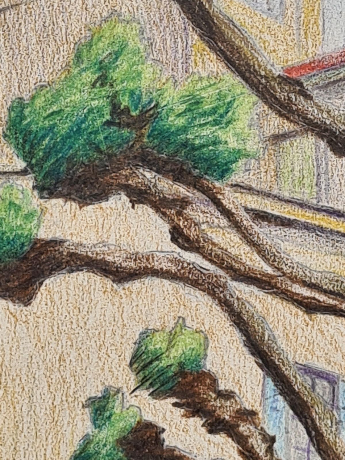 Art Pair Of French Mid Century Drawings, 'Ligne Claire' After Hergé, Grasse And Nice1969 photo