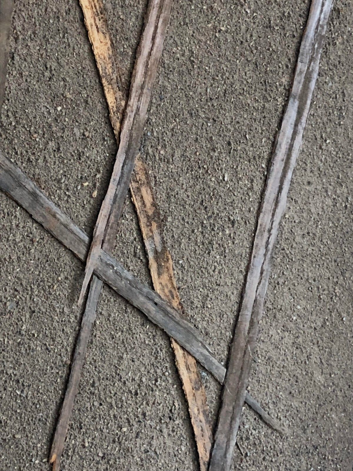 2000 Herbal Painting Abstraction Lyrical Japan Brutalist Rustic Modern photo 2021.0
