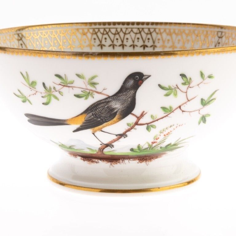 Antique Early 19th Century Paris Gilt Porcelain Ornithological Hand Painted Birds Bowl photo furniture