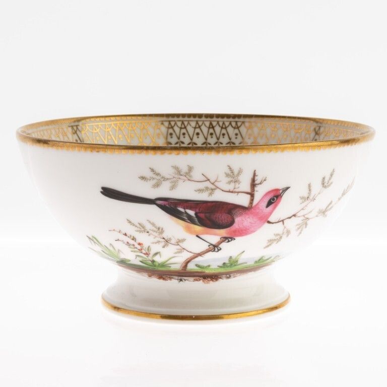 Antique Early 19th Century Paris Gilt Porcelain Ornithological Hand Painted Birds Bowl photo Home Decor