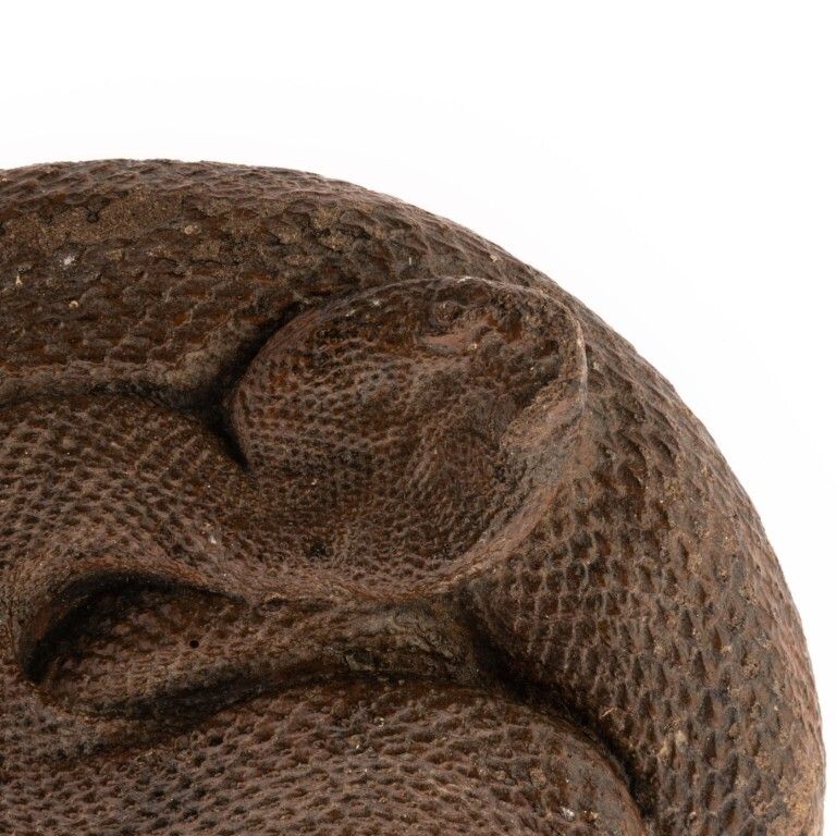 Antique Salt Glazed Pottery Ceramic Hand Painted Coiled Snake Wall Hanging 19th Century photo furniture