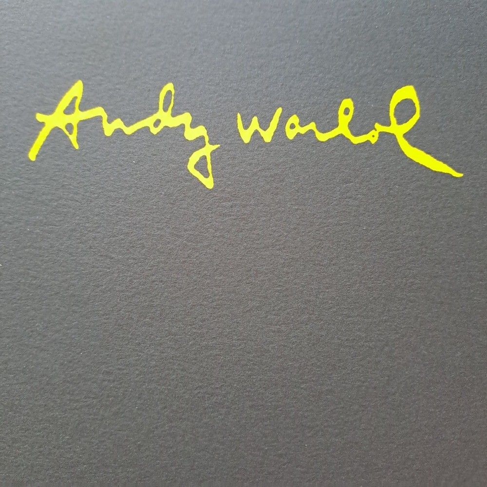 1980s Andy Warhol Signed Limited Edition Lithograph Volkswagen Lemon photo for sale