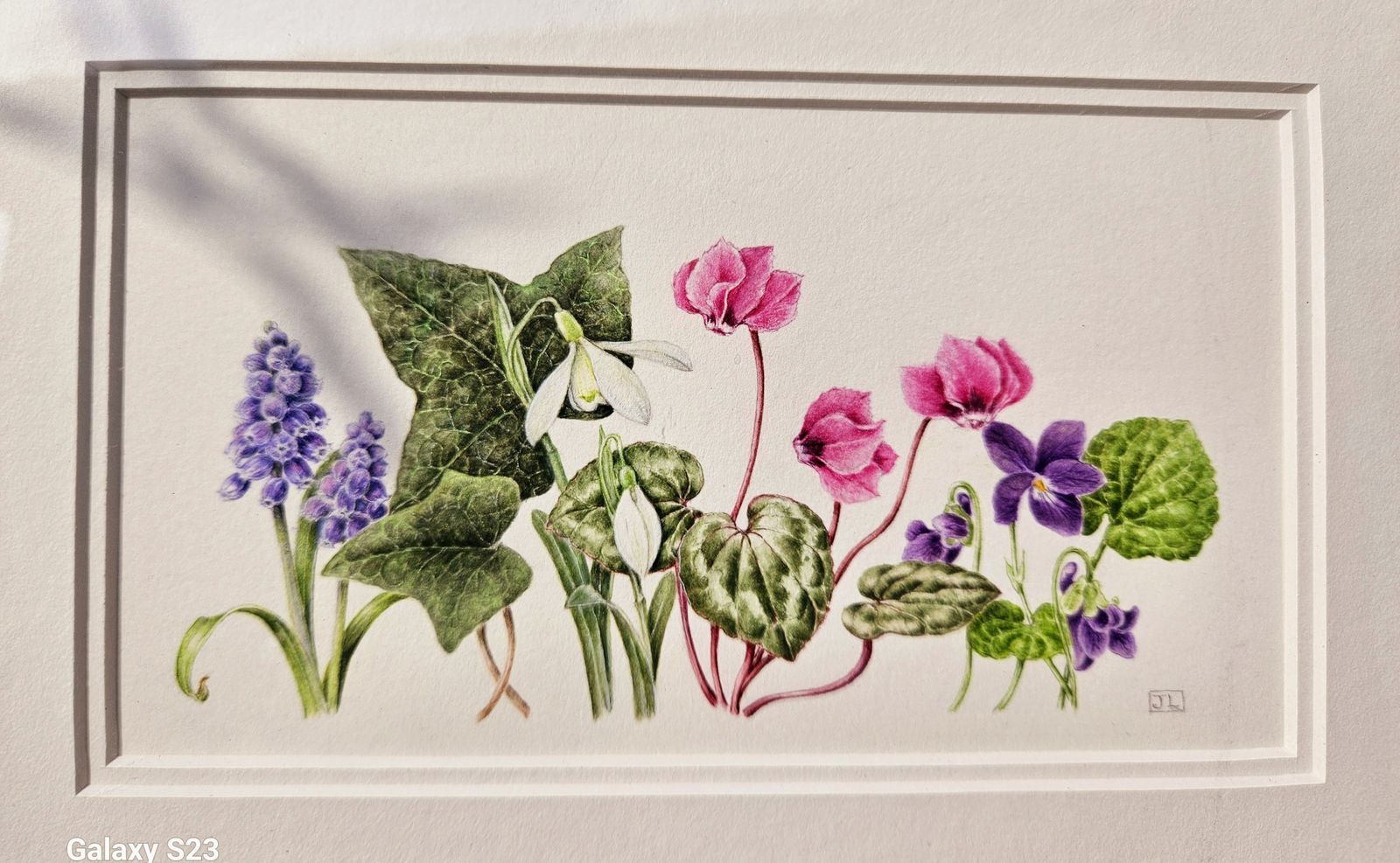 Trio Of Exquisite Botanical Floral Watercolours In White Wood Frames