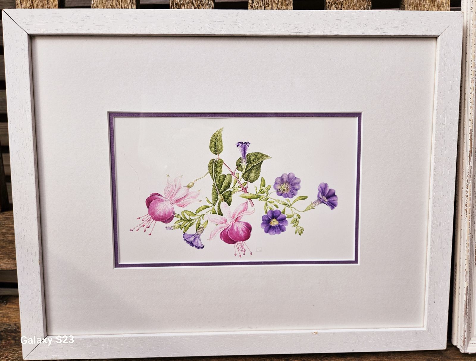 Trio Of Exquisite Botanical Floral Watercolours In White Wood Frames photo 189.0