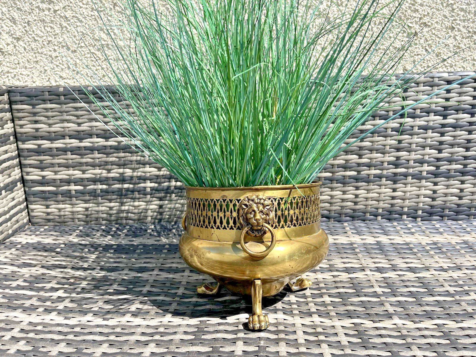 photo buy Antique Art Nouveau Brass William Soutter & Sons Plant Pot Lion Handles & Feet