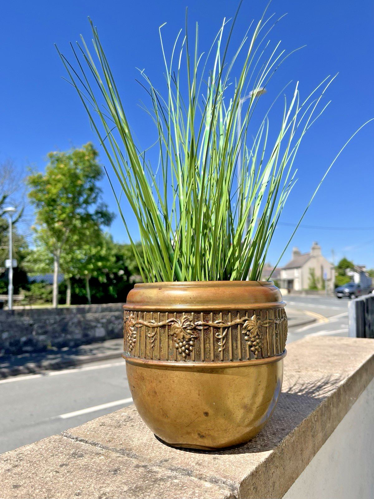 Antique English Arts & Crafts Brass Grapevine Leaf Berry Planter Plant Cacti Pot