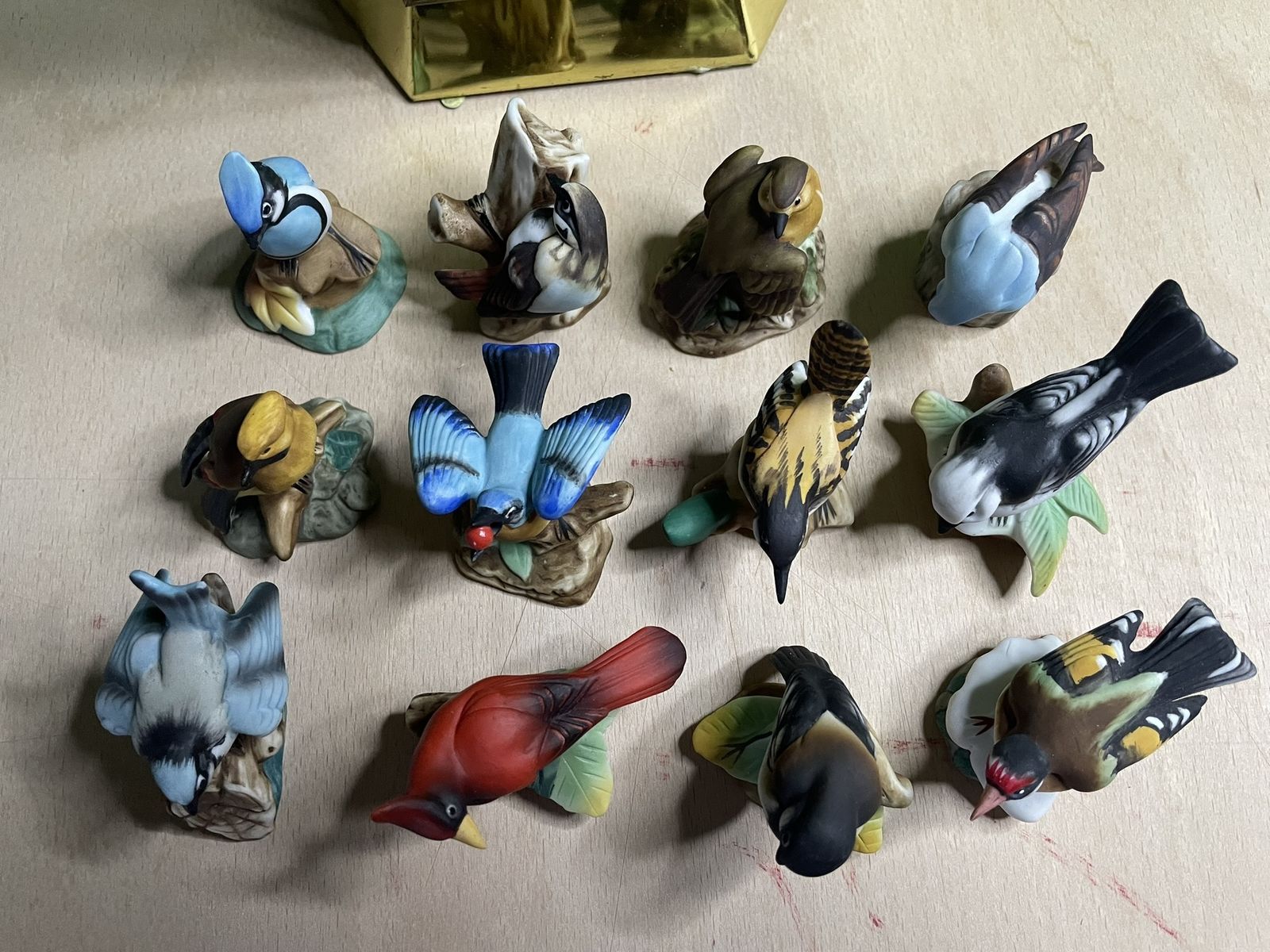 Porcelain Garden Birds Figurines In Glass And Brass Display Case   1980's photo buy