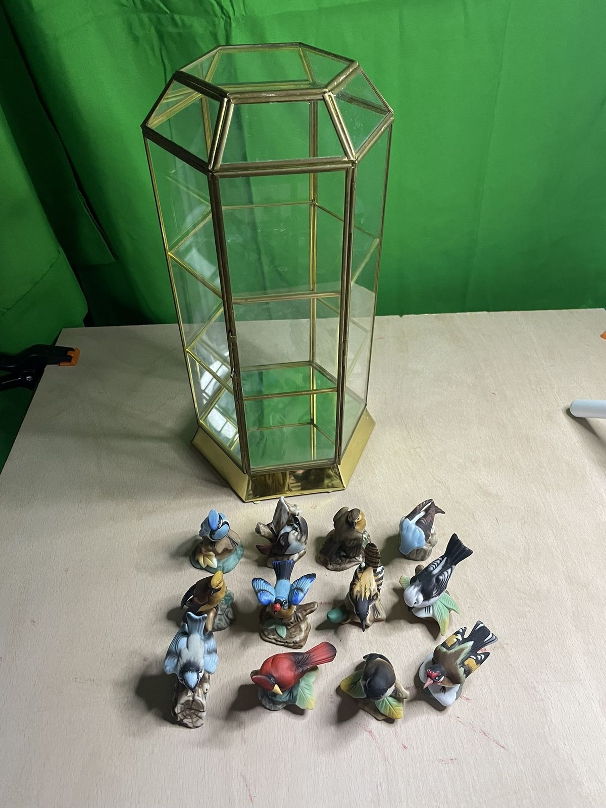 Porcelain Garden Birds Figurines In Glass And Brass Display Case   1980's photo vintage