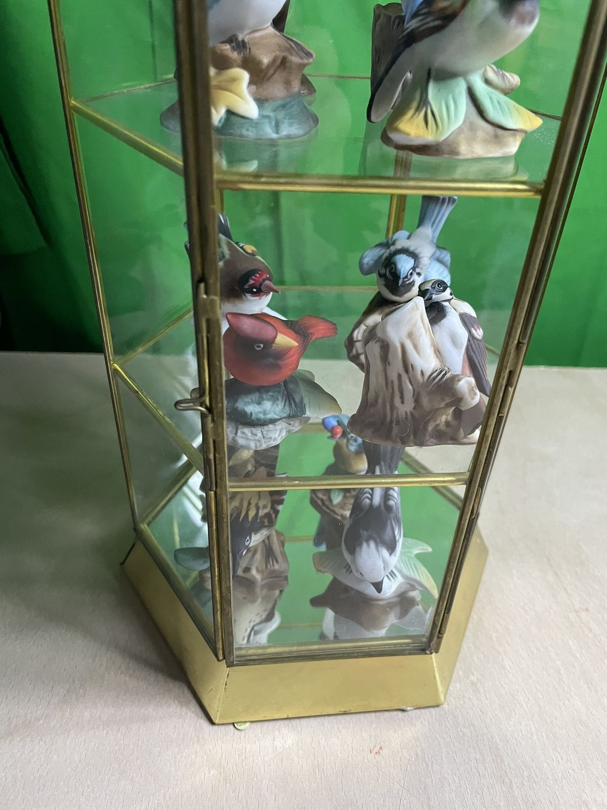 Porcelain Garden Birds Figurines In Glass And Brass Display Case   1980's