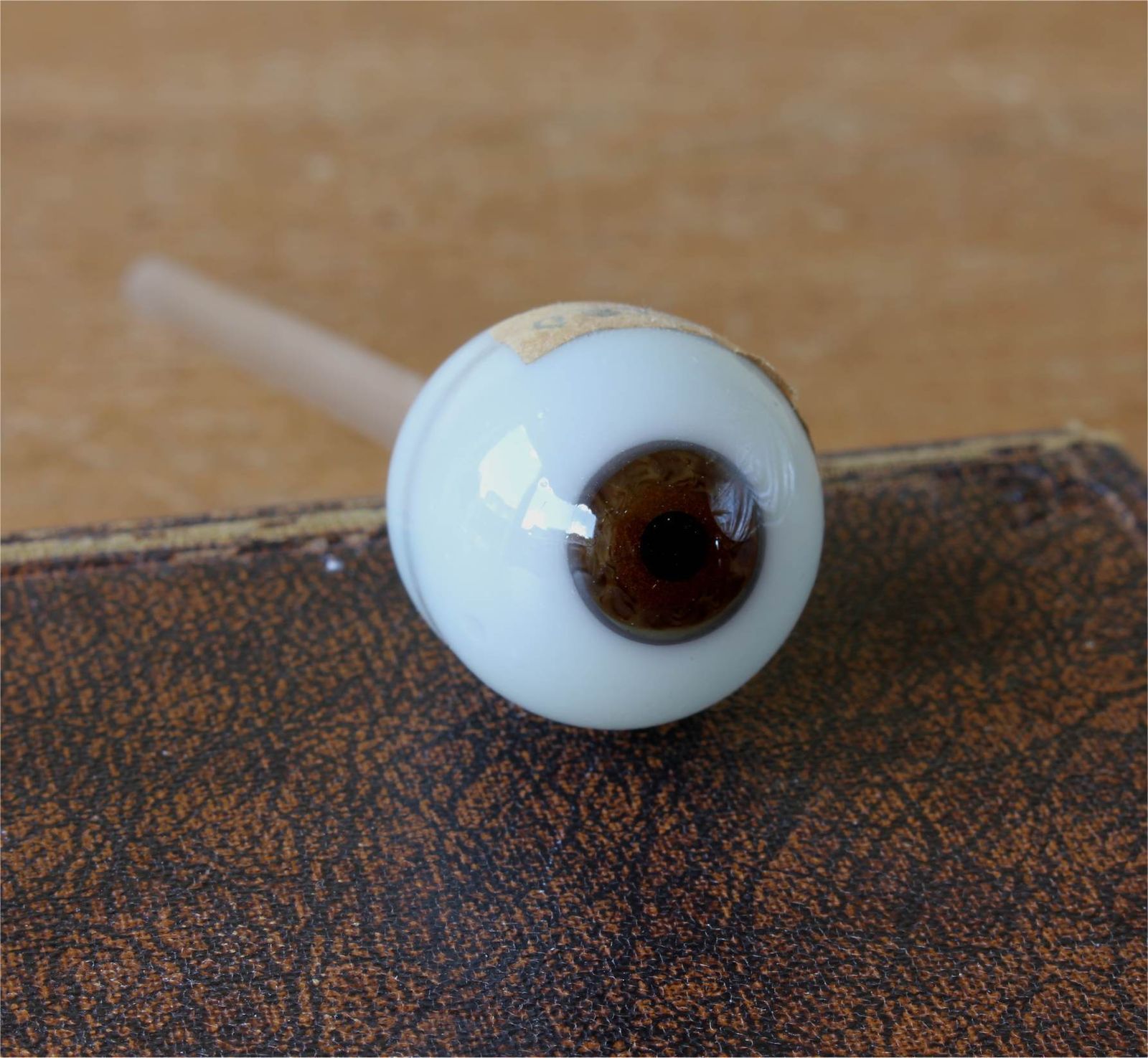 Glass Eye. Hand Blown French Ocularist Artificial Eye On Stem Stalk. photo 145.0