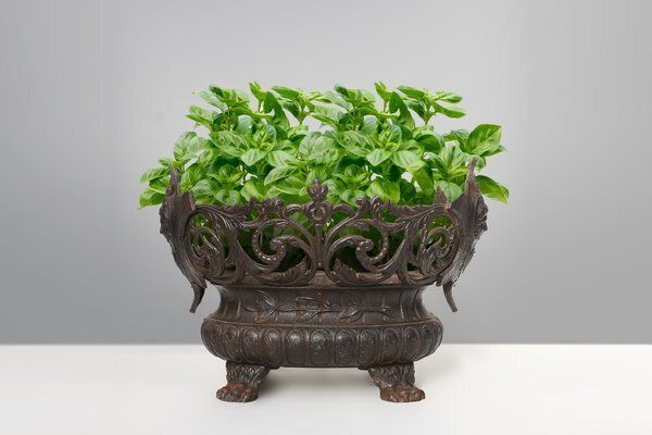 Cast Iron Planter Decorated With Masks And Lion Paws, France, 1850s photo Garden Decor
