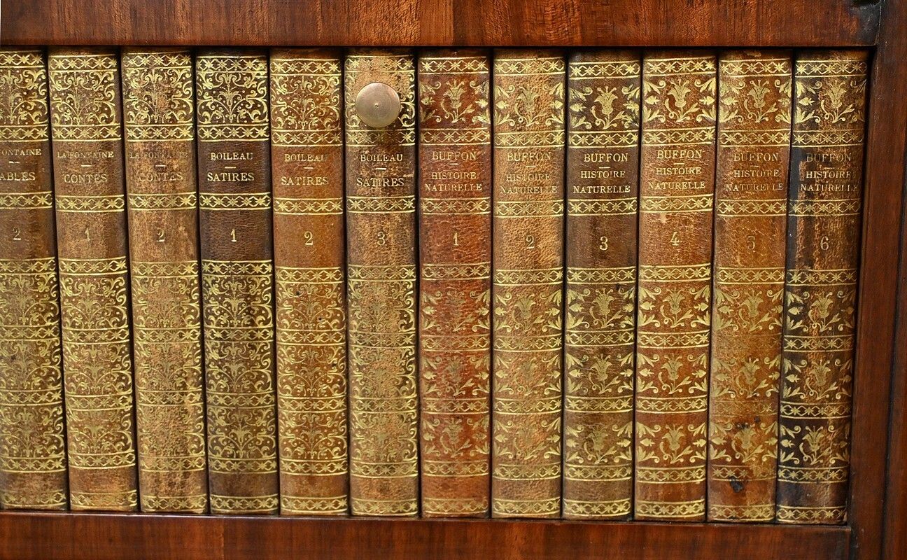 photo vinterior Marquetry Display Cabinet, Louis XVI Style – 2nd Part Of The 19th Century