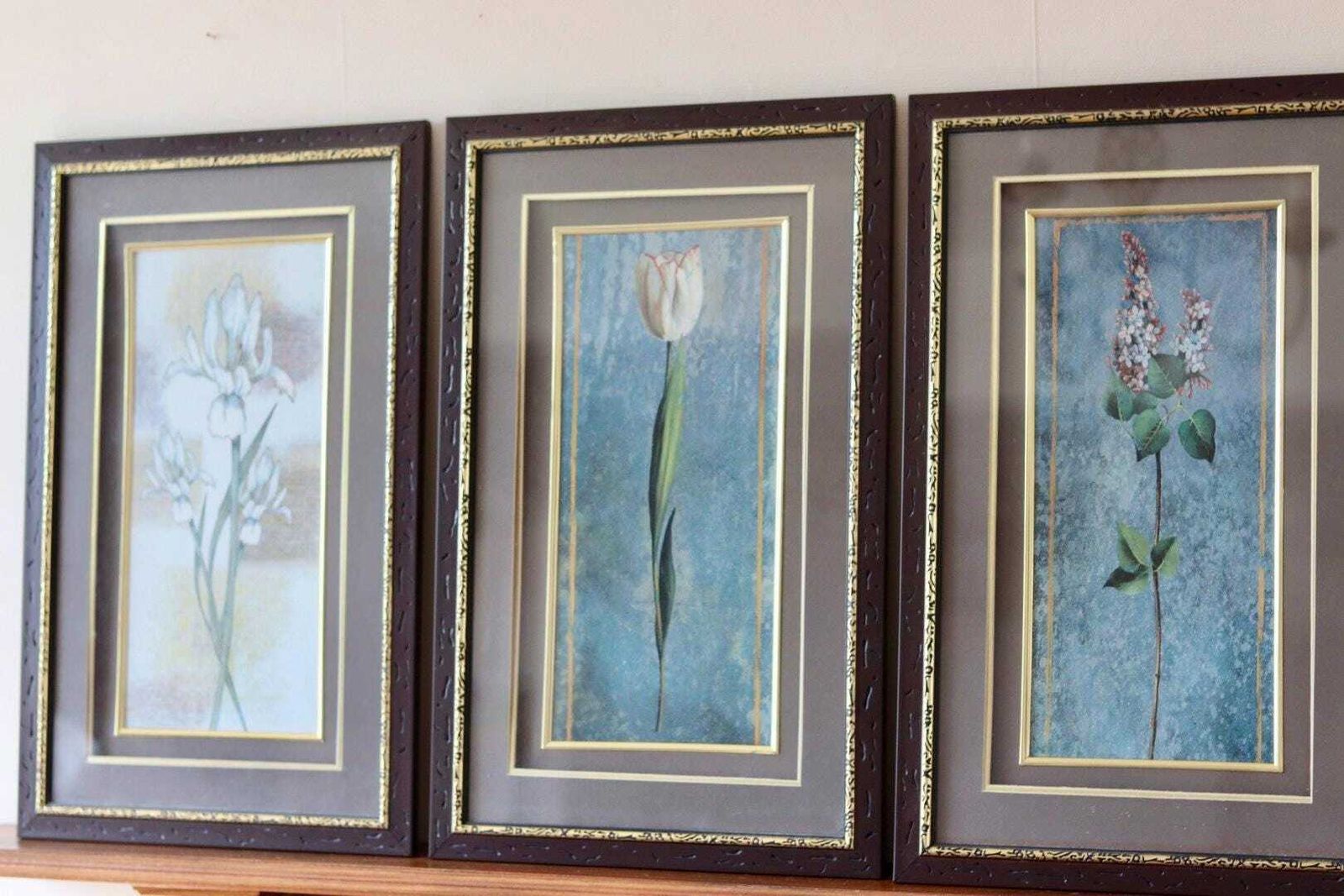 Mid Century Original Swedish  "Trio Of Flower Prints" –  Vintage & Framed, 34 X 54.5 Cm / 13.4 X 21.5 In