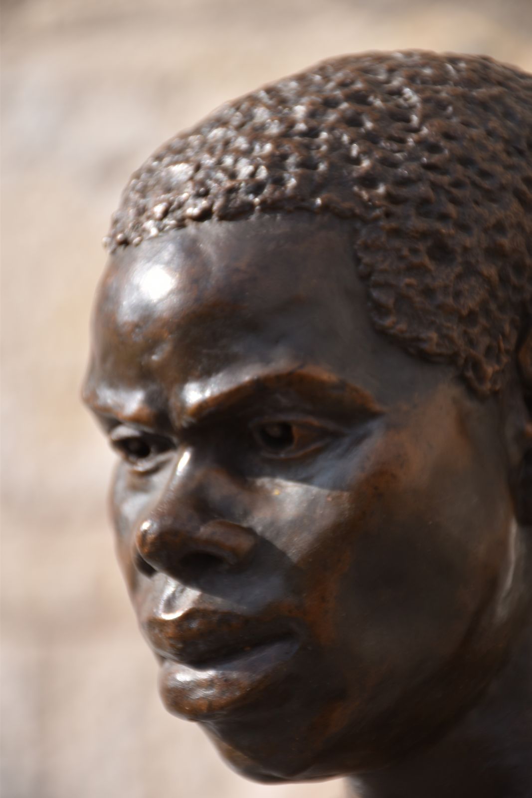 James Havard Thomas, Head Of A Young Man (1884) photo vinterior