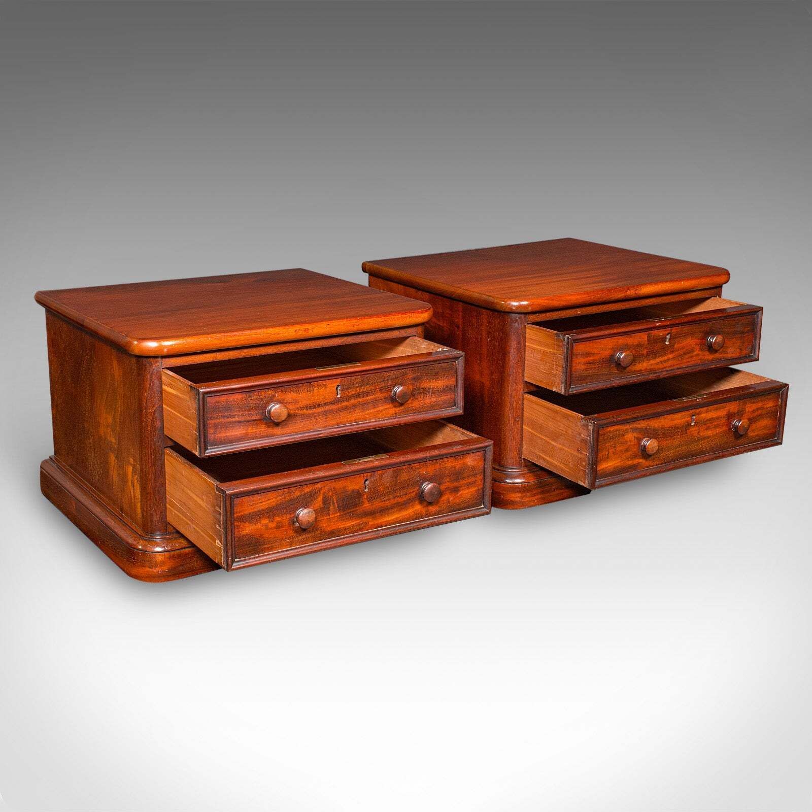 Pair Of Antique Collector's Chests, English, Specimen Cases, Victorian, C.1870 photo furniture