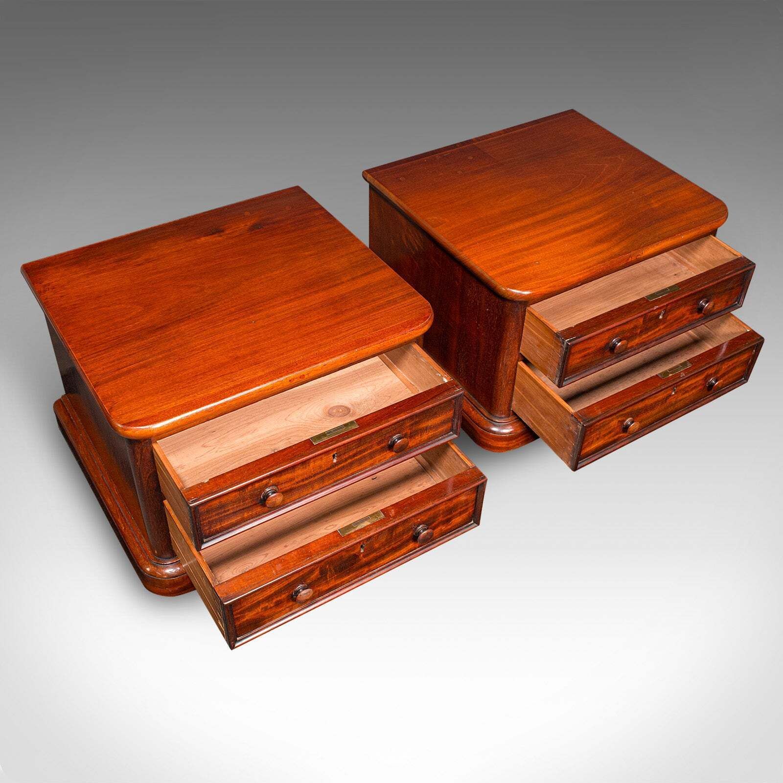 Pair Of Antique Collector's Chests, English, Specimen Cases, Victorian, C.1870 photo vintage
