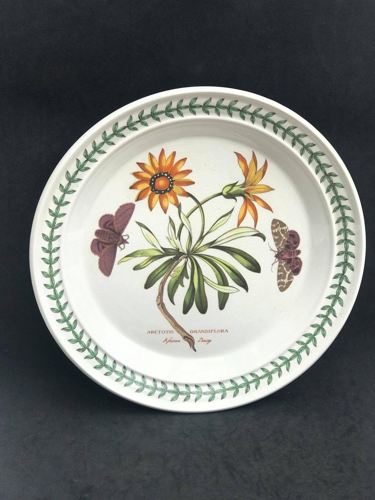 photo for sale Portmeirion Botanica Dinner Plate 70s Botanic Garden Dinner Plate Cistus Purpureus" Woody Nightshade Made In England China Replacement