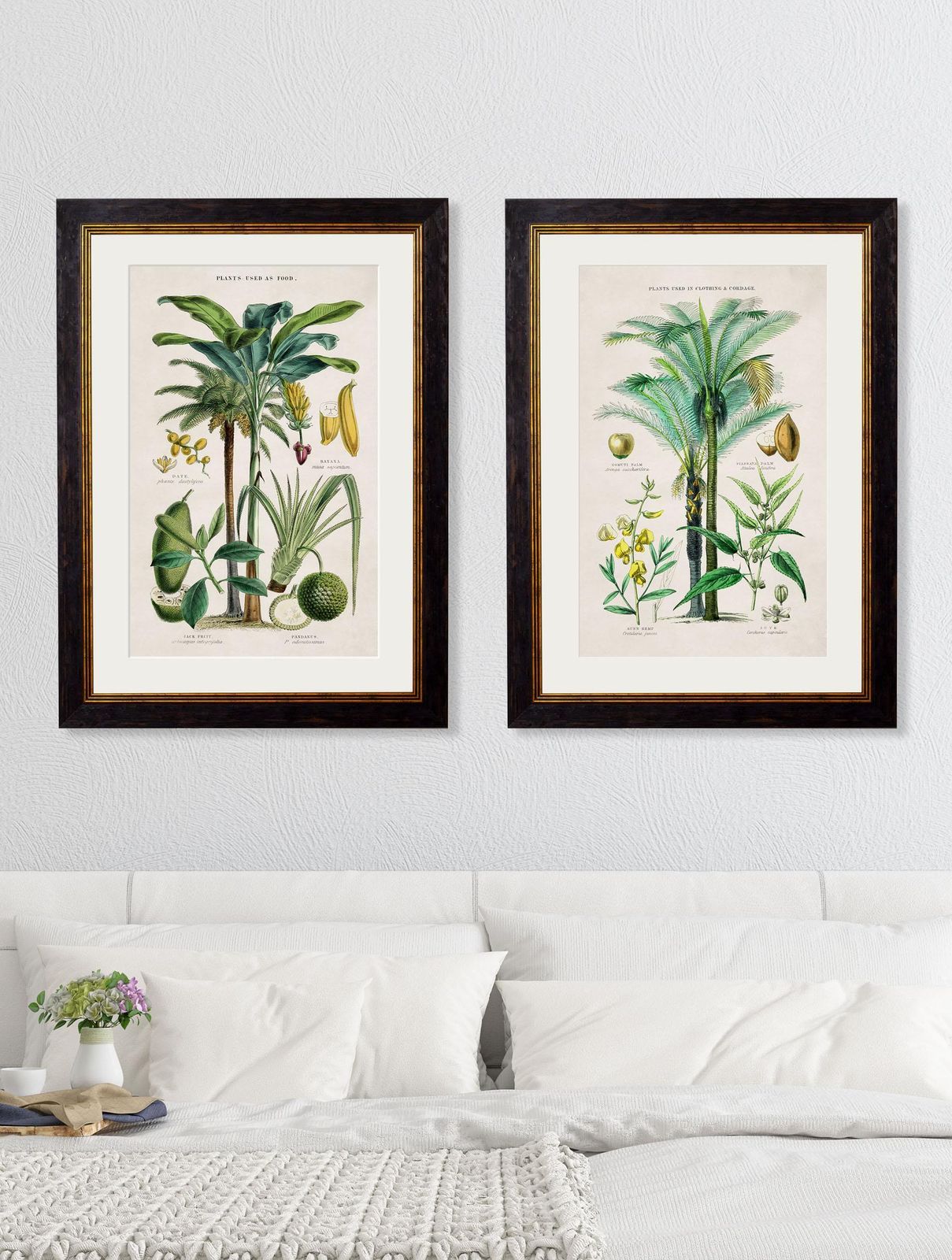 photo furniture Set 0f Two Tropical Plants Framed Prints From 19thc Originals