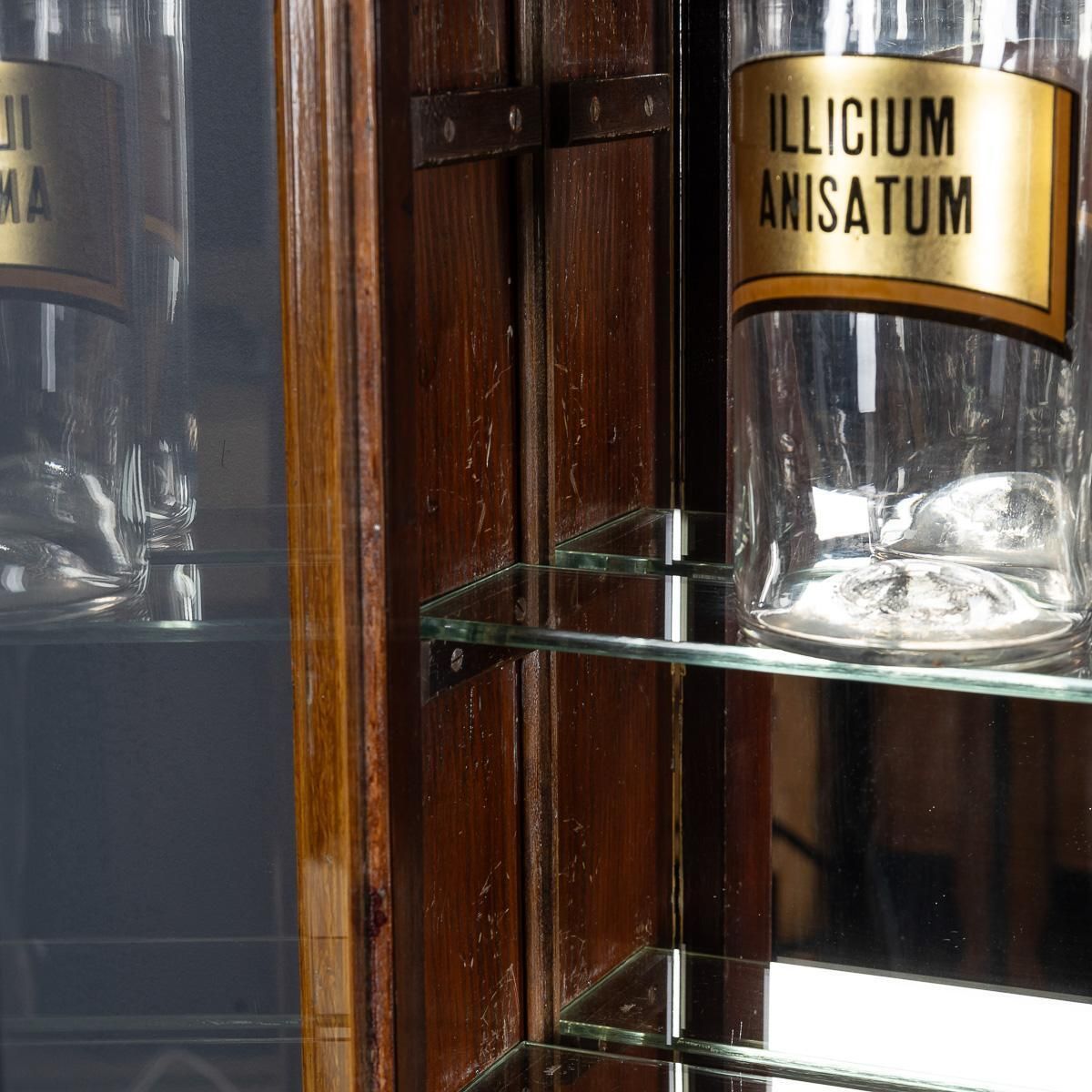 Furniture Antique 20th Century French Scumbled Pine & Glass Pharmacy Cabinet C.1900 photo