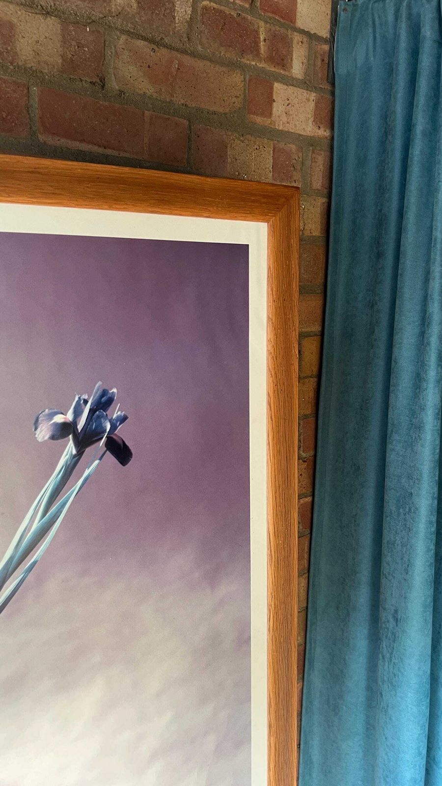 Stunning Large Robert Mapplethorpe Framed Floral Print In Solid Oak Frame photo 369.0