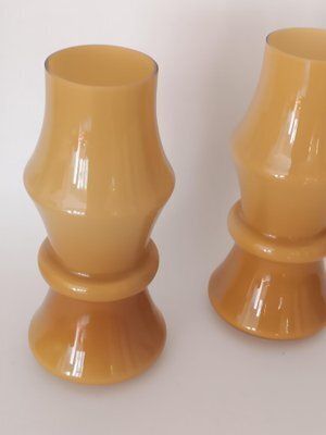 Opaline Glass Vases, 1970s, Set Of 2 photo 260.0
