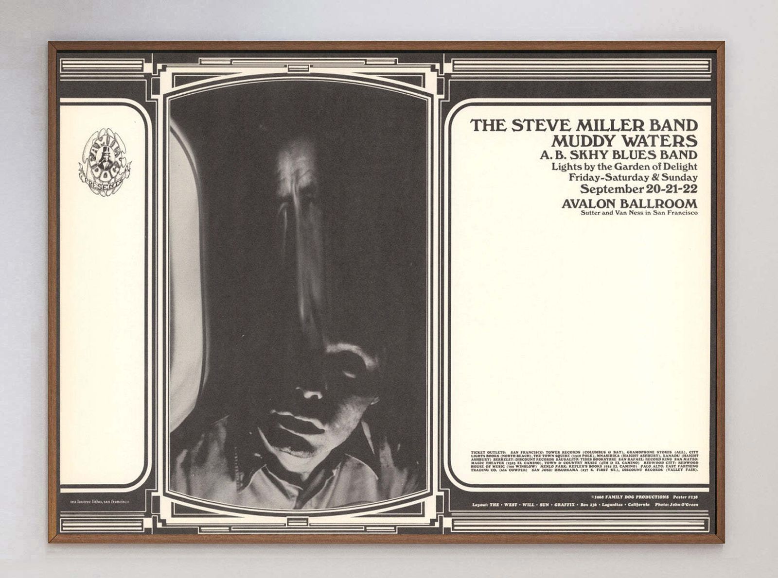 Steve Miller Band & Muddy Waters   Avalon Ballroom" Original Vintage Poster" photo 371.0