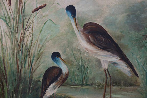 French Artist, Birds In Water, 1960s, Large Oil On Canvas, Framed photo vinterior