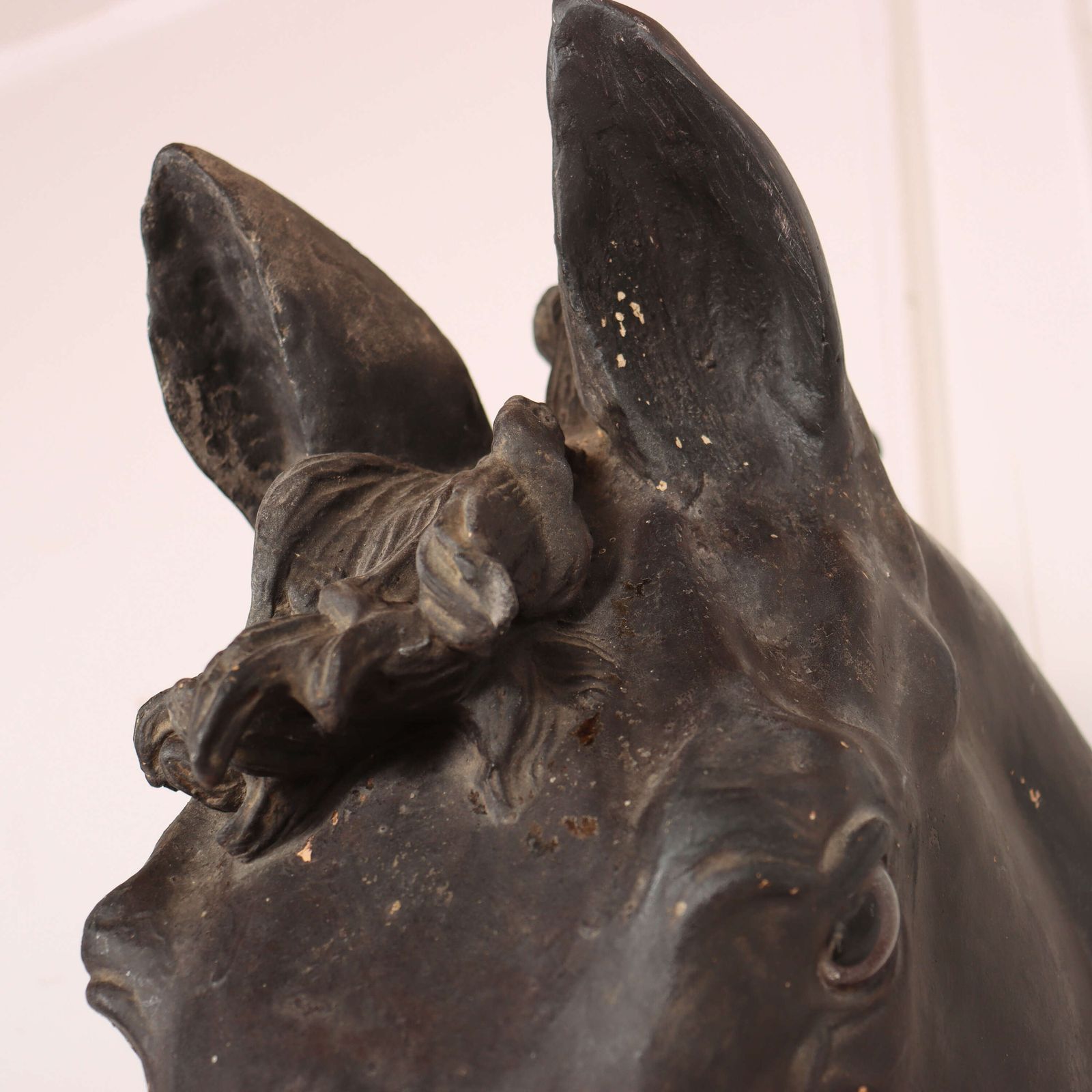 photo for sale 19th Century Spanish Horses Head