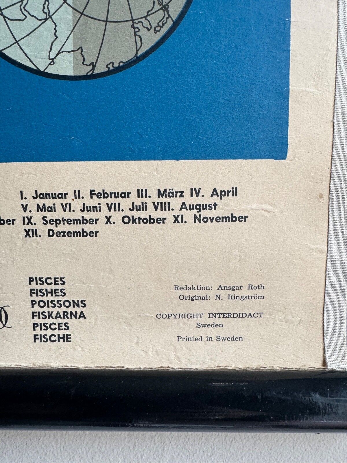 Vintage School Chart Earths Annual Revolution  Educational Wall Chart Astronomy photo 341.0