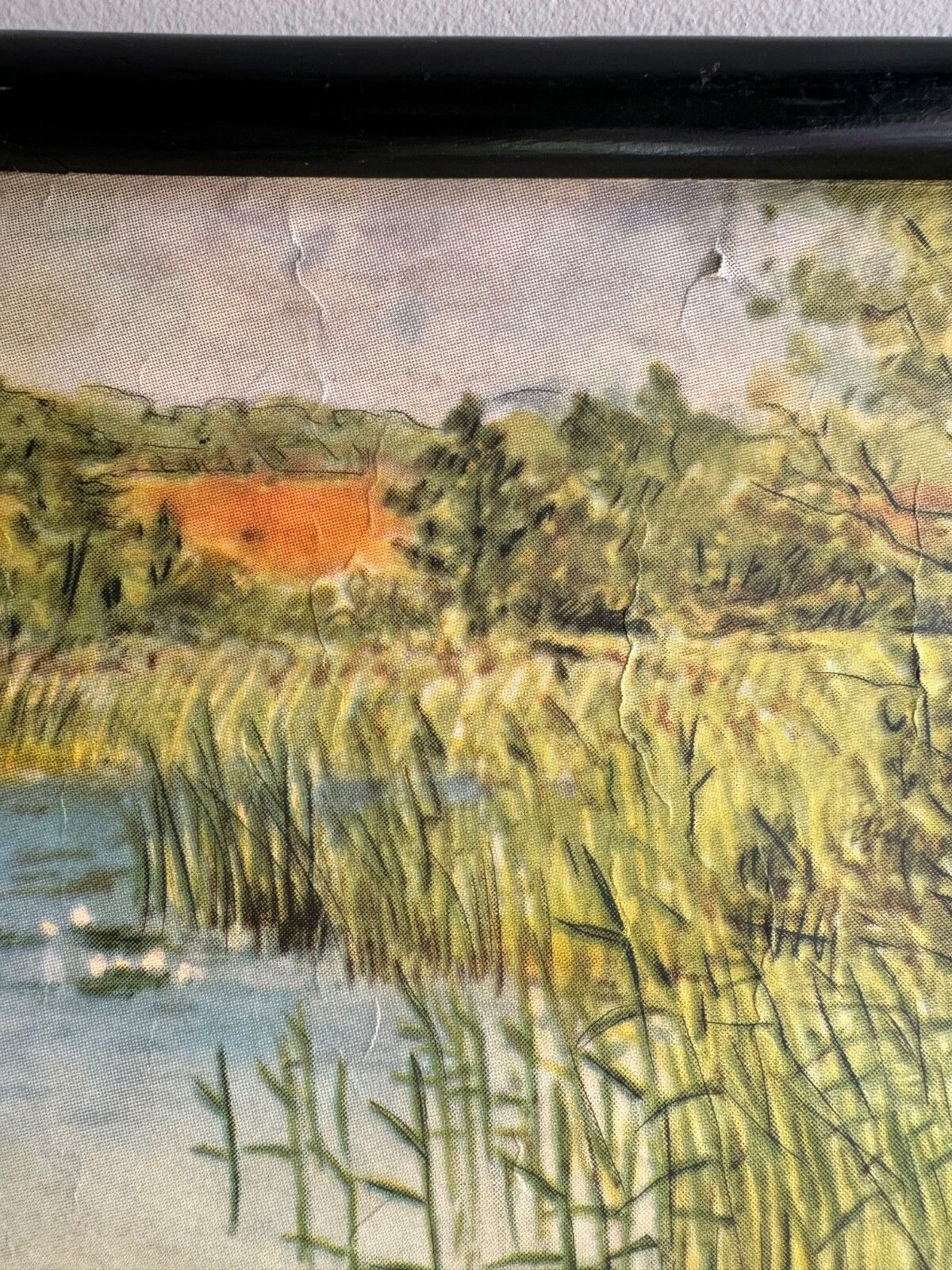 photo furniture Vintage School Chart Of The Nutrient Rich Inland Lake Botanical Poster Geology
