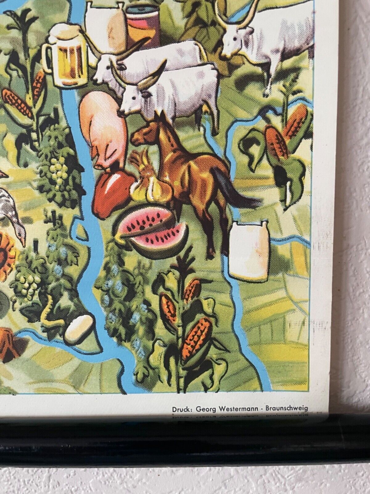 Vintage Pictorial Map Of Mid Europe School Chart Agriculture & Fishing photo Art
