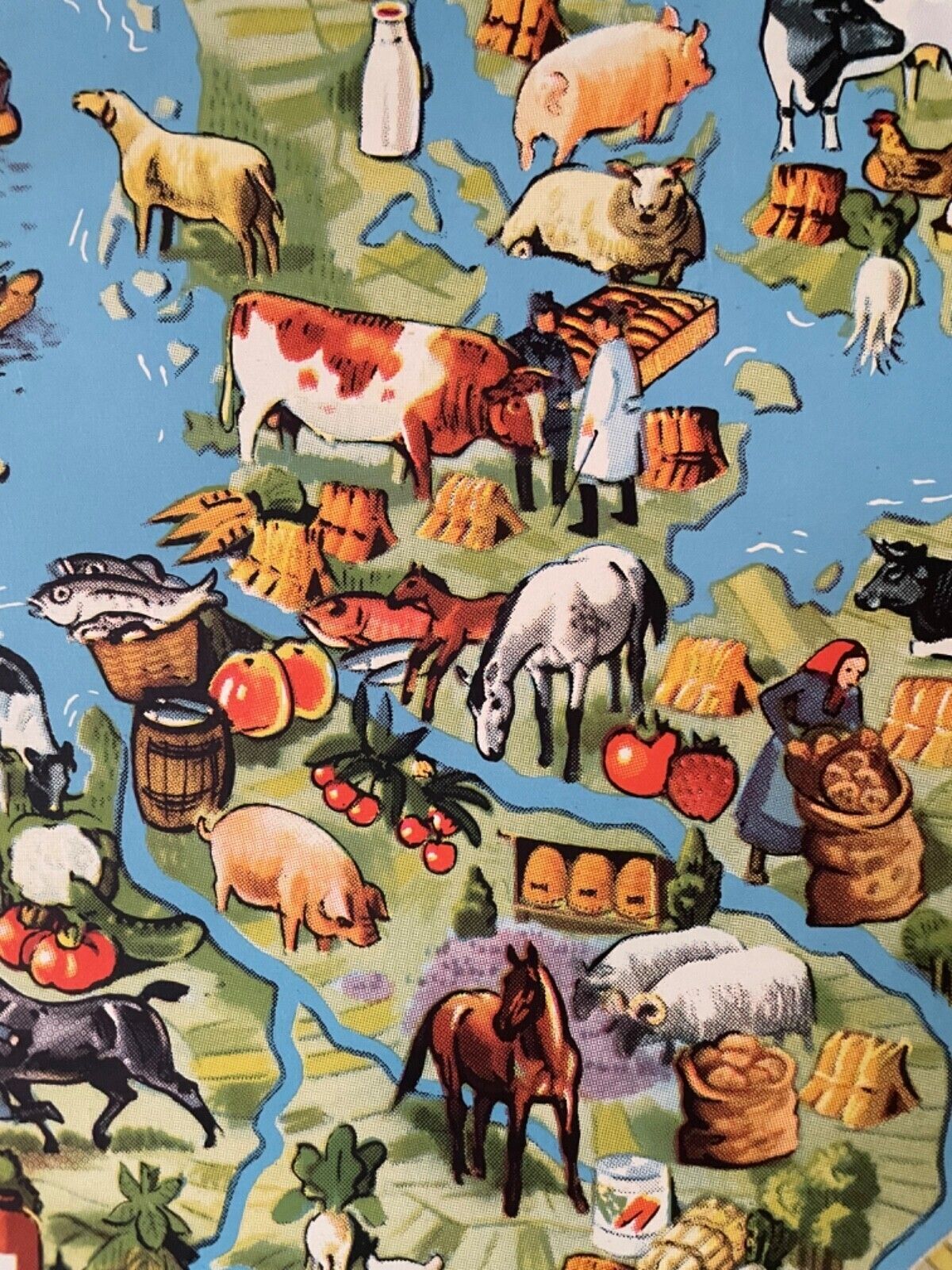 photo for sale Vintage Pictorial Map Of Mid Europe School Chart Agriculture & Fishing