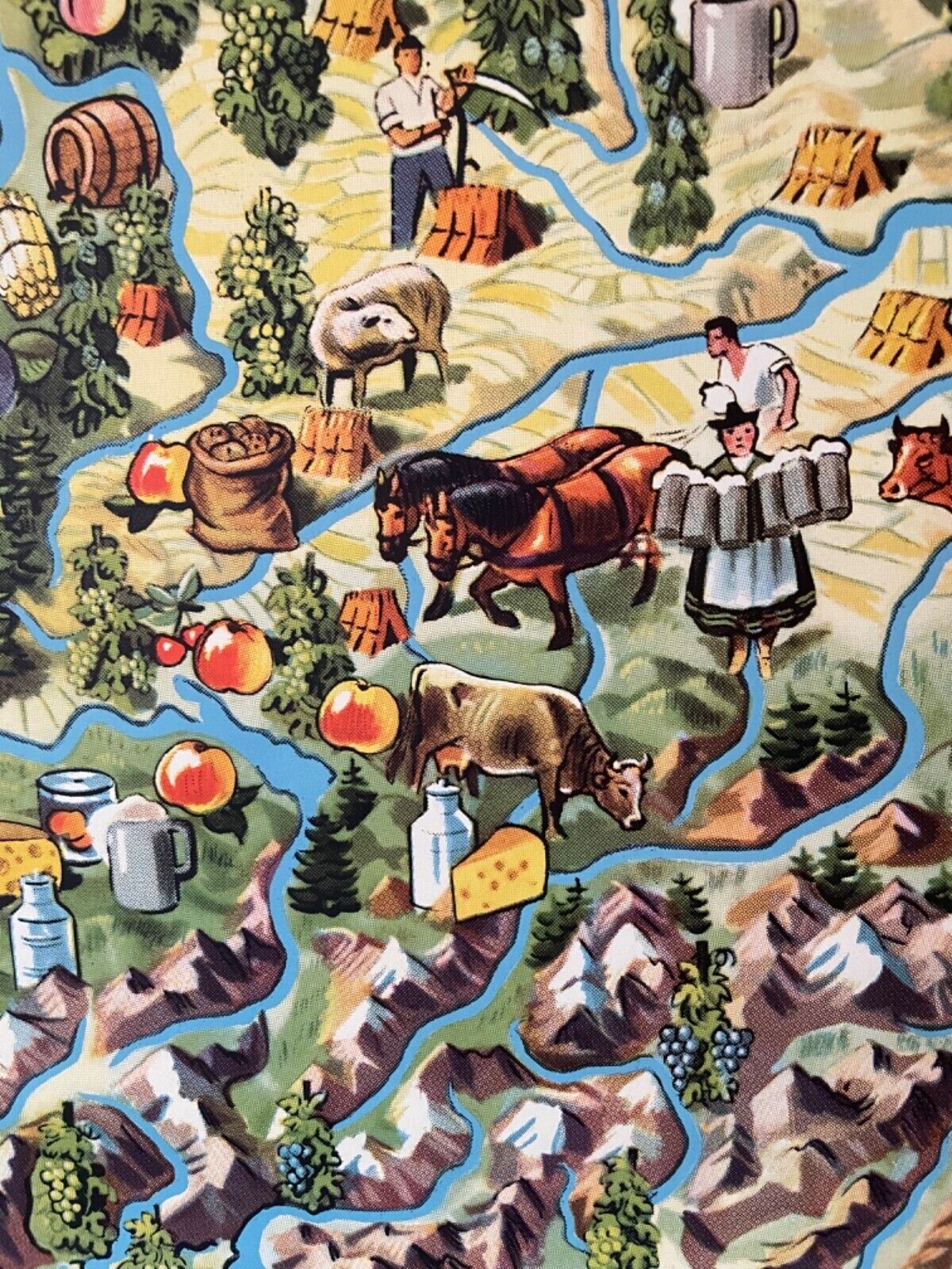 224.0 Vintage Pictorial Map Of Mid Europe School Chart Agriculture & Fishing photo