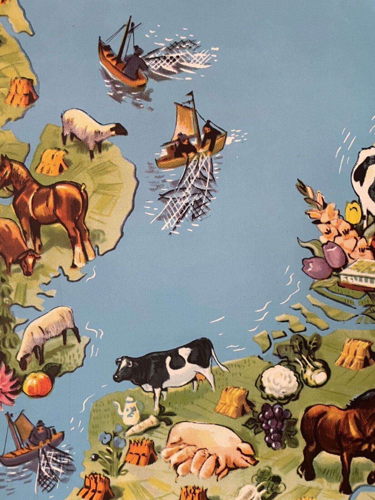photo buy Vintage Pictorial Map Of Mid Europe School Chart Agriculture & Fishing