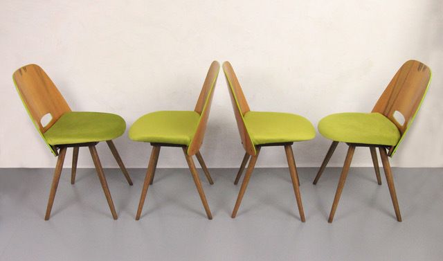 Chairs Tatra Pravenec "Spring Grass" photo 239.0