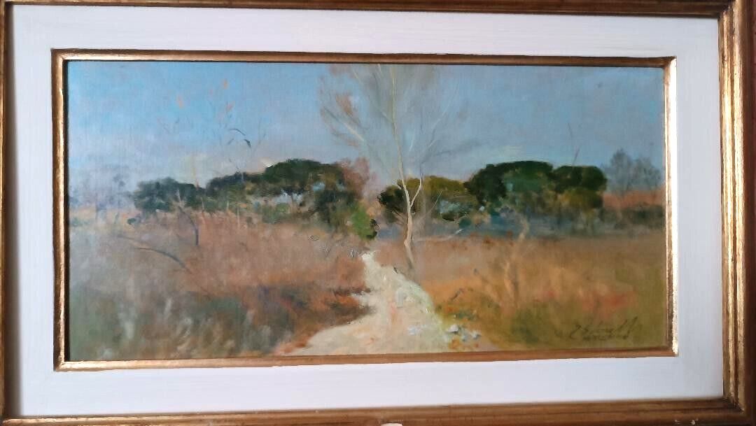 Oil Painting Cardboard Landscape Maremma Bruno Loretti (Livorno 1940) photo for sale