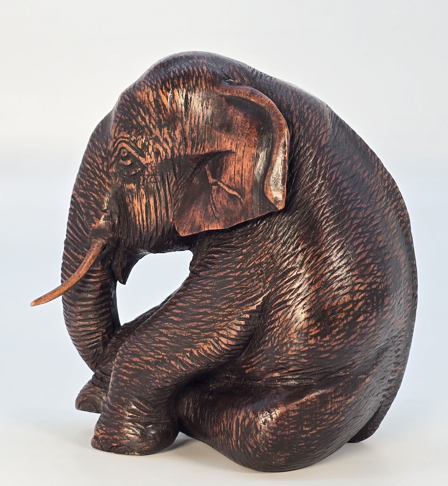 Antique Hardwood Study Of A Seated Elephant, Circa 1890 photo Home Decor