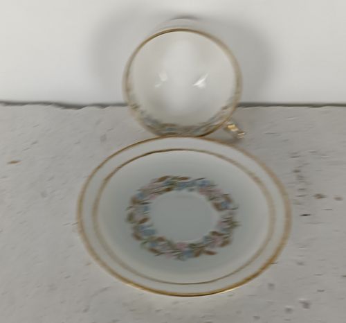 Set Of 6 Cup And Saucer Antique Haviland Limoges France Belle Epoque photo 244.0