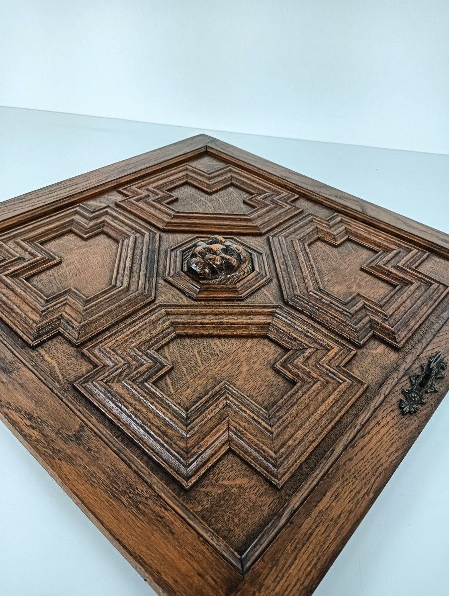 Antique 19th Century Door Panel Lion Head Ornate Carved Wood Architectural Reccl photo vintage
