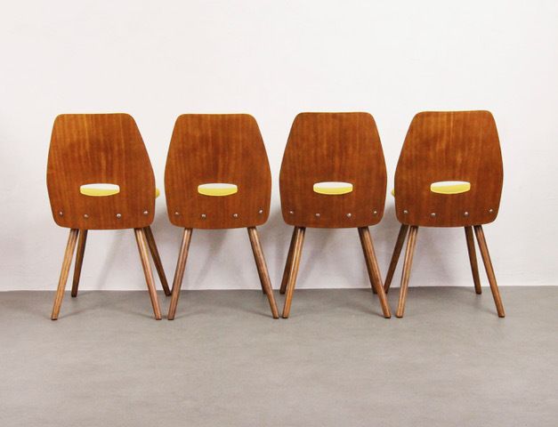 Chairs Tatra Pravenec "Morning Sun" photo vinterior