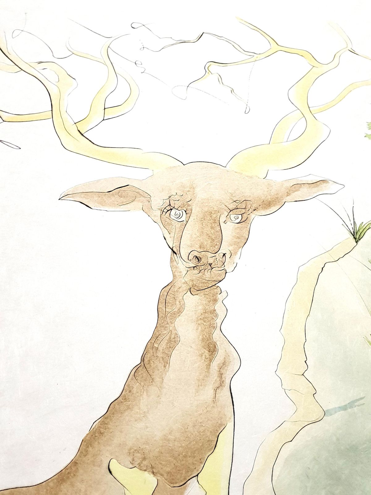 Salvador Dalí­Salvador Dali   Le Cerf From Le Bestiaire De La Fontaine   Signed Engraving1974 photo 2203.0