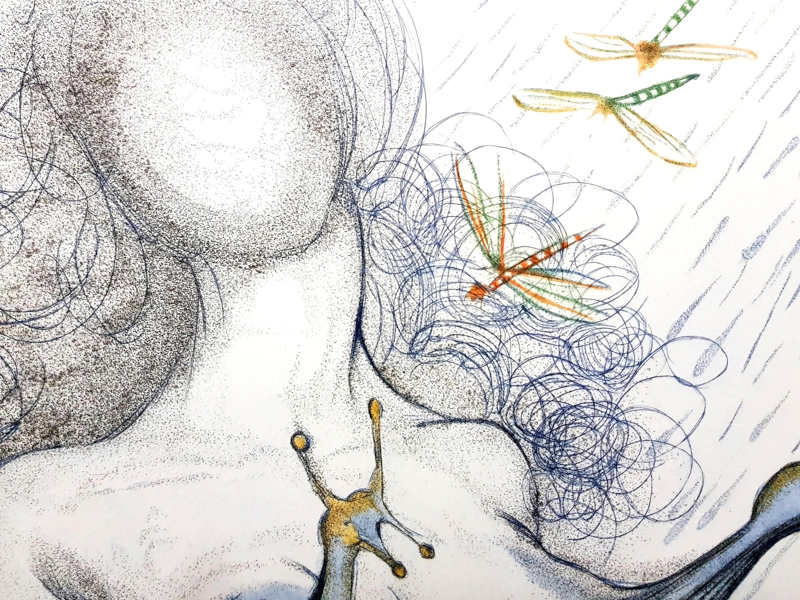 Salvador Dalí­Salvador Dali   Nude With Snails Breats1967 photo Art