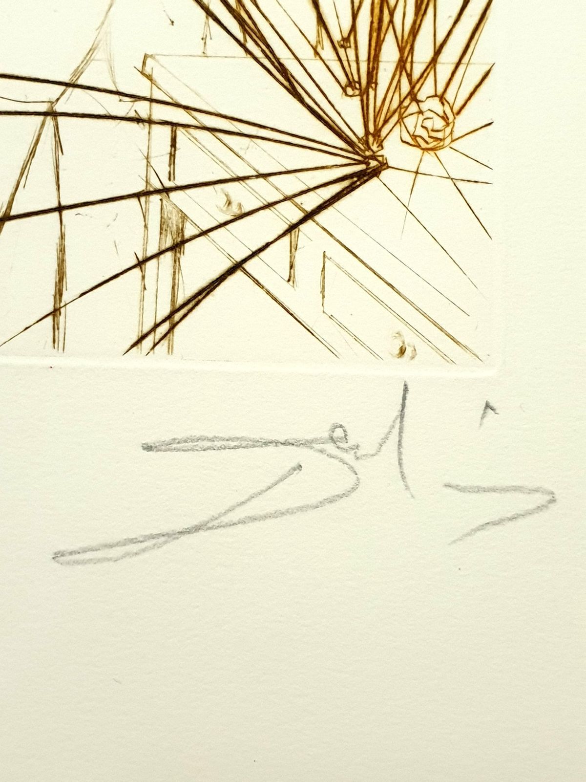Salvador Dalí­Salvador Dali   Pierre Curie   Original Handsigned Engraving1970 photo Art