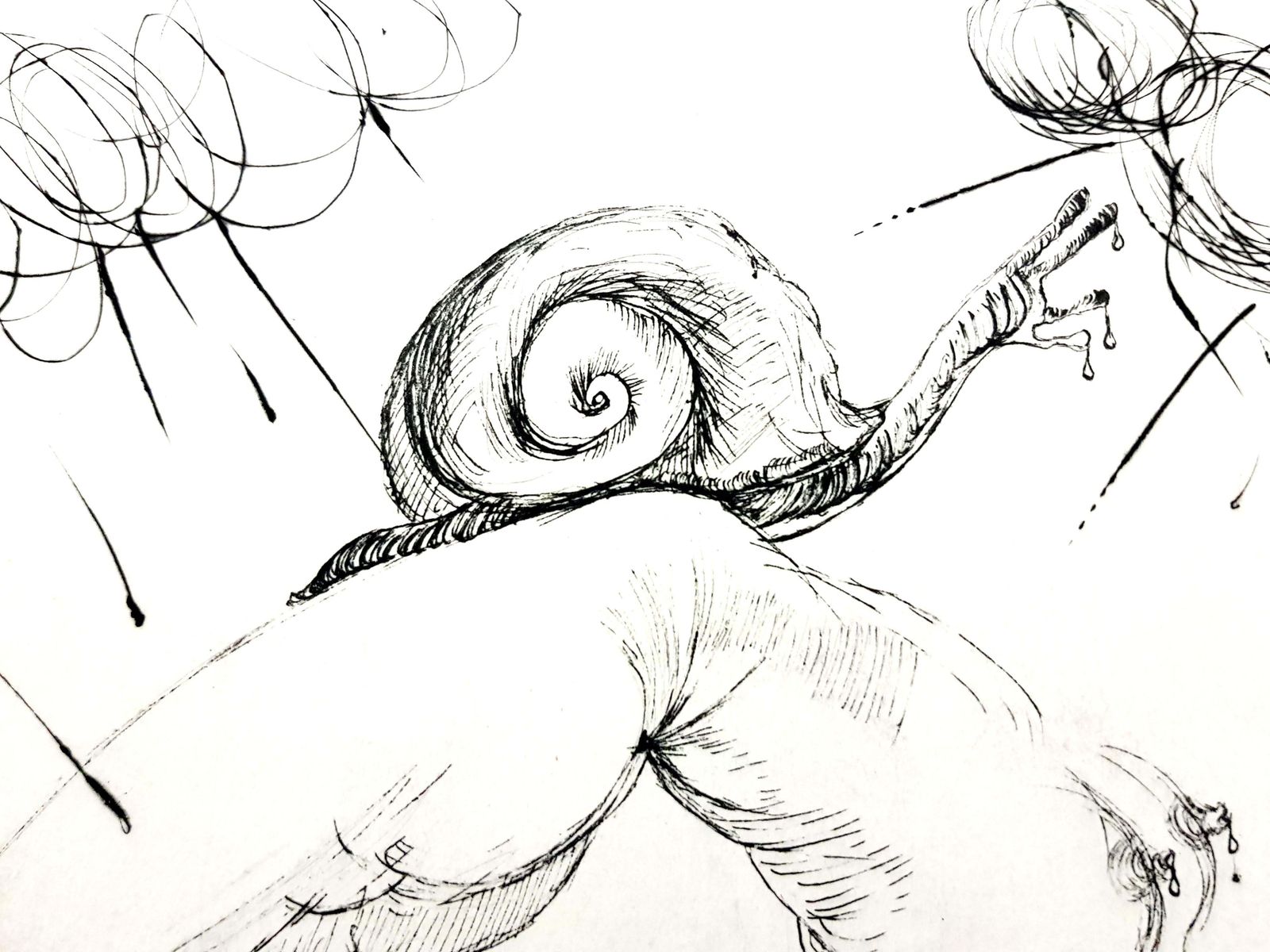 Salvador Dalí­Salvador Dali   Nude With Snail1967 photo vinterior