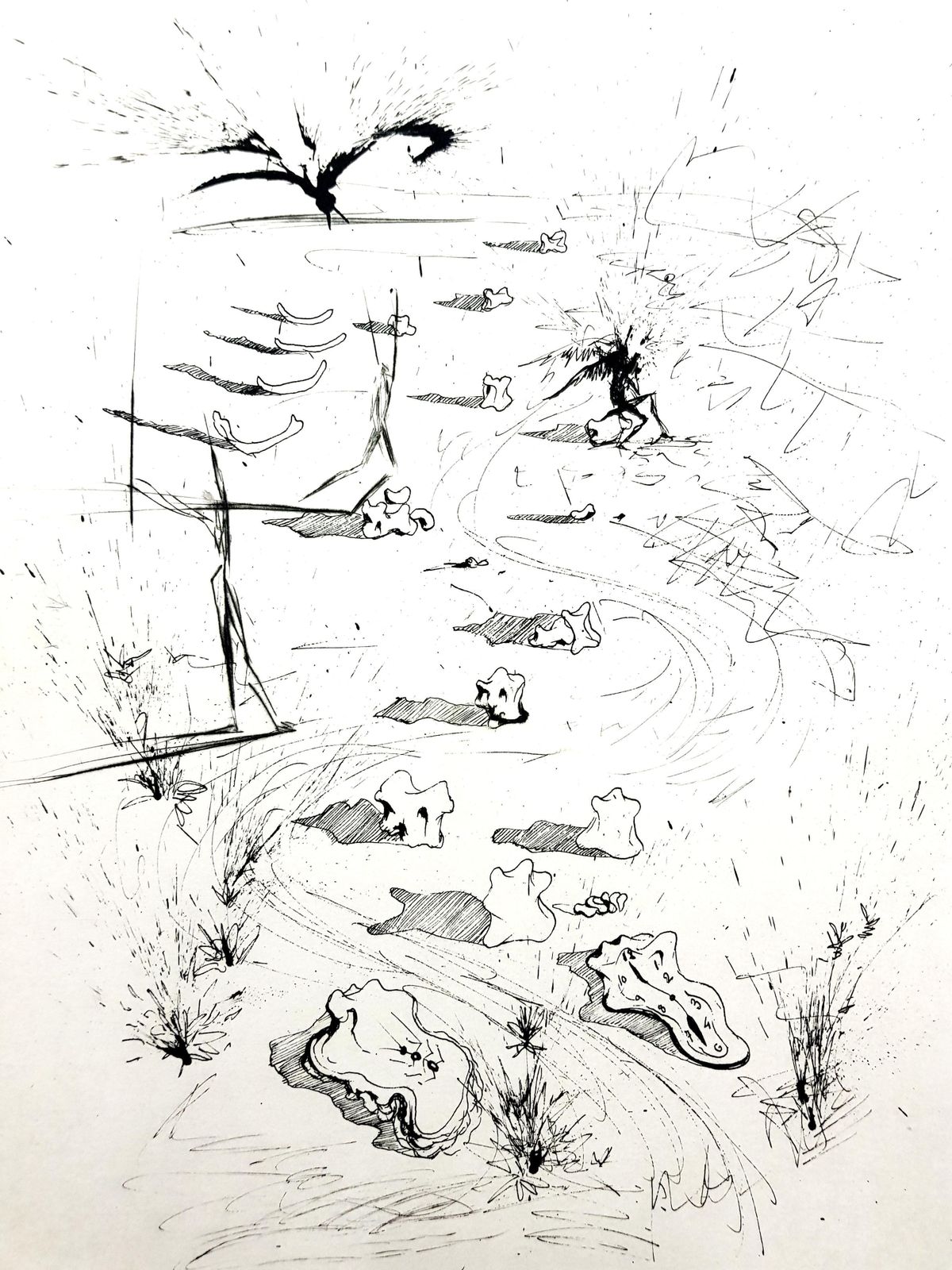 Salvador Dalí­Salvador Dali   The Trenches   Original Etching1967 photo furniture