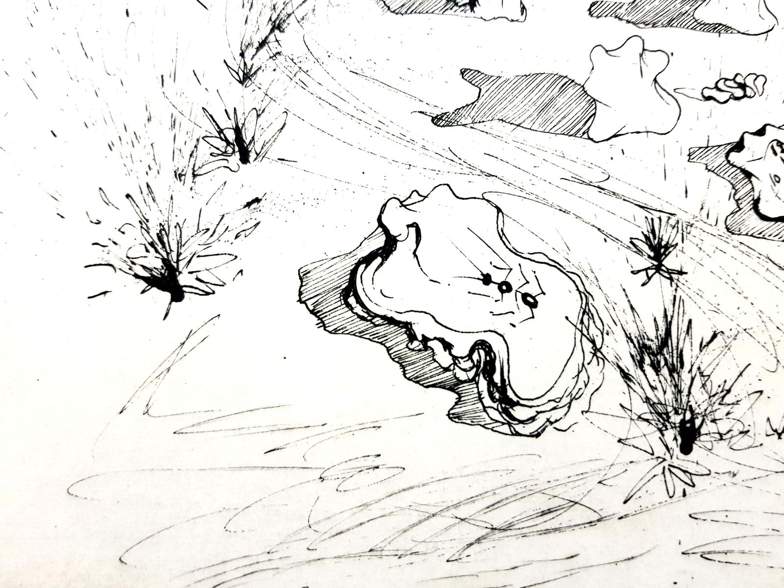 Salvador Dalí­Salvador Dali   The Trenches   Original Etching1967 photo vintage